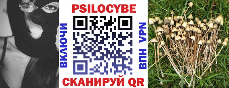 Галлюциногенные грибы ЛСД  купить наркоту  Серафимович 